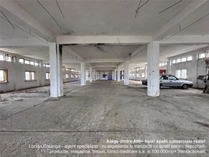 Hala, spatiu comercial, vad, de la 423mp la 1744mp, Vama Albita