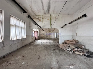 Hala, spatiu comercial, vad, de la 423mp la 1744mp, Vama Albita - imagine 2