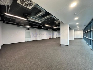 Spatiu birou semicentral Iasi, 200mp, zona Palas - Podul de Piatra - imagine 13