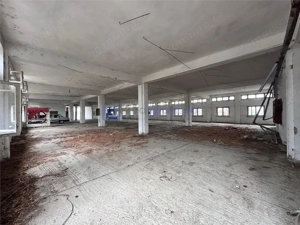 Hala, spatiu comercial, vad, de la 423mp la 1744mp, Vama Albita - imagine 9
