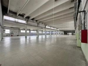 Hale  spatii de inchiriat in jud. Iasi, Pascani, de la 500mp la 5000mp - imagine 6