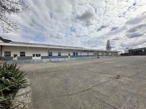 Hale  spatii de inchiriat in jud. Iasi, Pascani, de la 500mp la 5000mp - imagine 14
