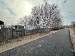 Hala  cort ciupercarie, crestere pui, 400mp, Dumesti - imagine 7