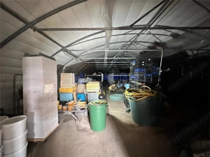 Hala  cort ciupercarie, crestere pui, 400mp, Dumesti - imagine 10