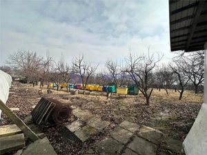 Hala  cort ciupercarie, crestere pui, 400mp, Dumesti - imagine 11