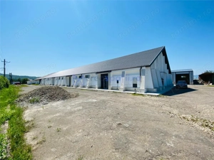 Hala depozitare, productie, showroom, de la 600mp la 1200mp, Lukoil Tg. Neamt - imagine 11