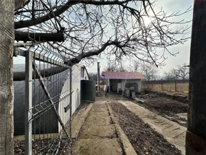 Hala  cort ciupercarie, crestere pui, 400mp, Dumesti - imagine 9