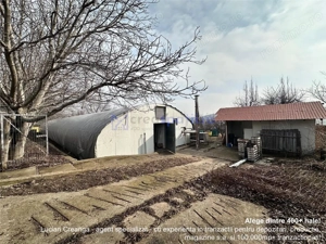 Hala  cort ciupercarie, crestere pui, 400mp, Dumesti