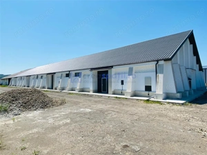 Hala depozitare, productie, showroom, de la 600mp la 1200mp, Lukoil Tg. Neamt - imagine 12