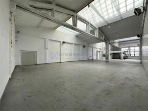 Hala  showroom, 231mp, zona Carrefour Felicia, Kaufland - imagine 6