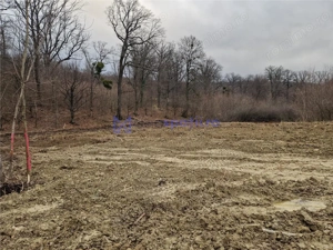 Teren parcele, de la 748mp la 3024mp, Barnova Sf. Ap. Petru - imagine 4