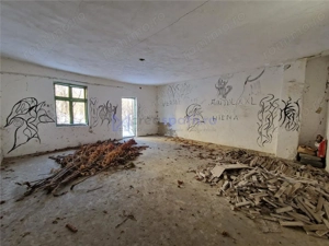 Spatiu versatil 296mp, teren 1766mp, Visan - imagine 5