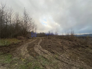 Teren parcele, de la 748mp la 3024mp, Barnova Sf. Ap. Petru - imagine 15