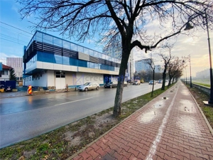 Spatiu comercial 880mp, central - imagine 16