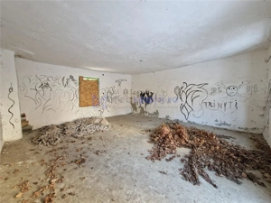 Spatiu versatil 296mp, teren 1766mp, Visan - imagine 6