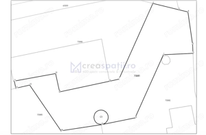 Spatiu versatil 296mp, teren 1766mp, Visan - imagine 13