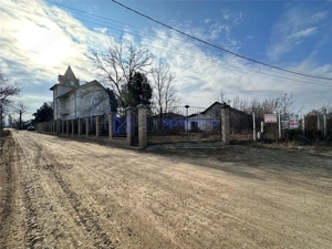 Spatiu versatil 296mp, teren 1766mp, Visan - imagine 2