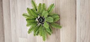 Vand un ornament din crengute de brad artificial cu orificiu in mijloc pentru o lumanare