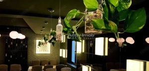 V #226;nzare Vila Spatiu Comercial-Zona Armeneasc #259; - imagine 6