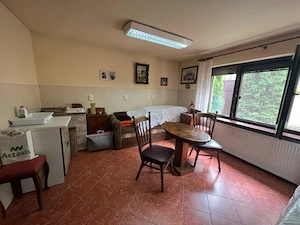 A 1433 De vânzare sapațiu cmercial +casă , ultracentral, Panov - imagine 3