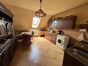 A 1433 De vânzare sapațiu cmercial +casă , ultracentral, Panov - imagine 9