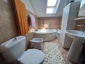 A 1433 De vânzare sapațiu cmercial +casă , ultracentral, Panov - imagine 7
