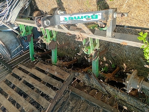 Vând iezi sanen și o prășitoare pe 5 rânduri  - imagine 5