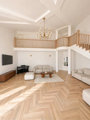 casa individuala dumbravita