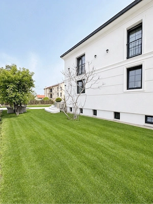 casa individuala dumbravita - imagine 2