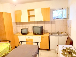 Cuntz buziașului cazare muncitori la casă cu 4 camere - imagine 17