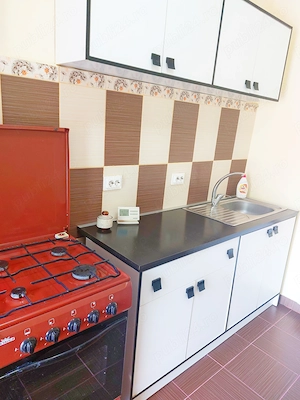 Bălcescu Apartament cu o cameră la casă - imagine 14