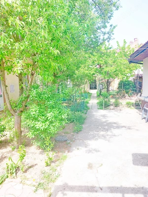 Bălcescu Apartament cu o cameră la casă - imagine 10