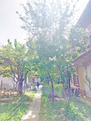 Bălcescu Apartament cu o cameră la casă - imagine 9