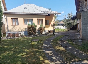 2 case in aceeasi curte (se vand impreuna)