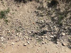 Vand balast in Timisoara