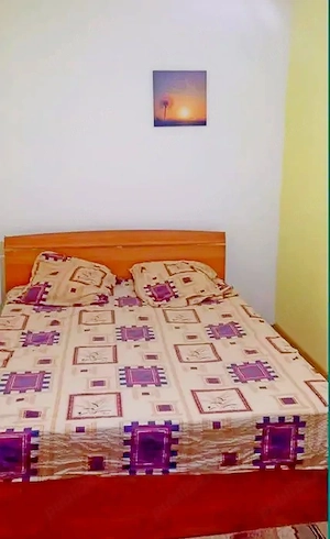 dacia apartament cu 2 camere de închiriat - imagine 15