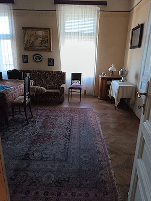 Casă individuală, clădire istorică  BĂLCESCU  - imagine 15