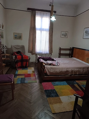 Casă individuală, clădire istorică  BĂLCESCU  - imagine 16