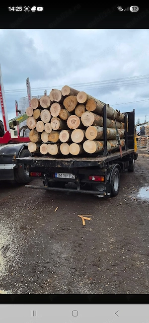 lemne de fag si transportul oferim 