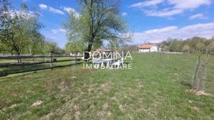 Vanzare proprietate deosebita, mobilata și utilata – Novaci, Sat Sitesti - imagine 10