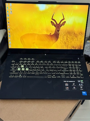 Laptop Gaming ASUS TUF F17 cu procesor Intel  Core  5 210H