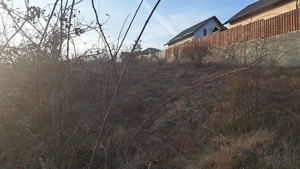 Livezeni - Vanzare teren intravilan - Str. Livezii - imagine 4