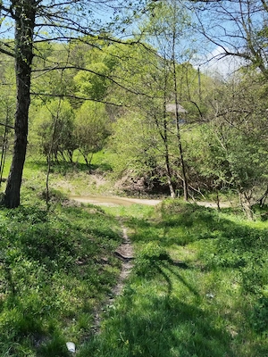 Teren de vis la munte   7.795 mp   construibil   pârâu, pădure, fără vecini   Vâlcea