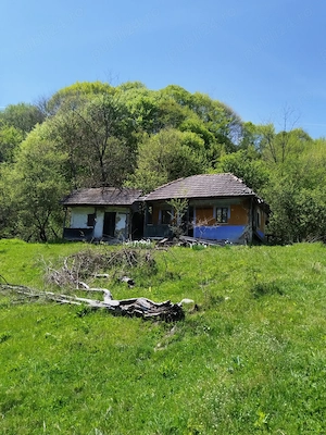 Teren de vis la munte   7.795 mp   construibil   pârâu, pădure, fără vecini   Vâlcea - imagine 6