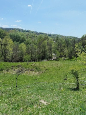 Teren de vis la munte   7.795 mp   construibil   pârâu, pădure, fără vecini   Vâlcea - imagine 4