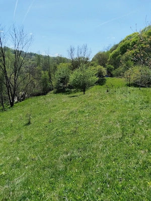 Teren de vis la munte   7.795 mp   construibil   pârâu, pădure, fără vecini   Vâlcea - imagine 5