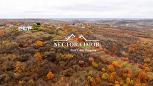 EXCLUSIVITATE Nectora Imob-Teren Intravilan cu panorama la lac,4837 mp