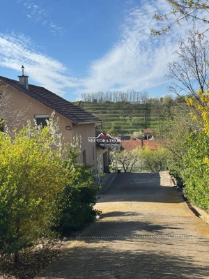 NECTORA IMOB Exclusivitate-Casa S+P+M,Str. Sofiei, 144mp+ 2192mp teren - imagine 18