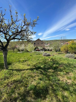 NECTORA IMOB Exclusivitate-Casa S+P+M,Str. Sofiei, 144mp+ 2192mp teren - imagine 19