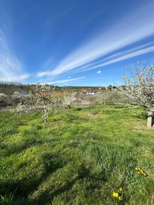 NECTORA IMOB Exclusivitate-Casa S+P+M,Str. Sofiei, 144mp+ 2192mp teren - imagine 20